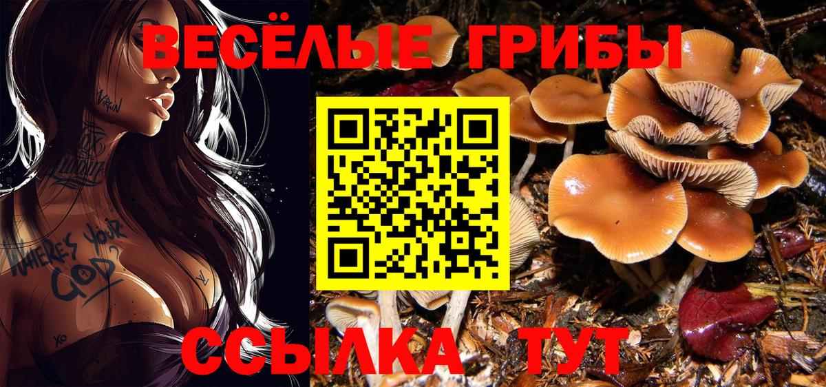 Галлюциногенные грибы GOLDEN TEACHER  закладки  Всеволожск  Вход с VPN 